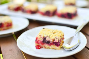 Mixed Berry Crumb Bars