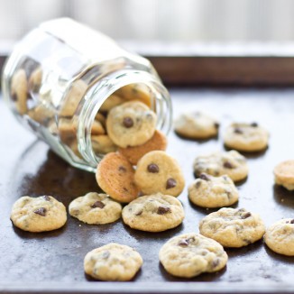Teeny Tiny Chocolate Chip Cookies (Cookie Sprinkles)